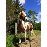 Cavallo Simple Hoof Boots (PAIR)